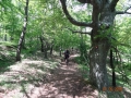 Slika07