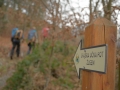 DSC_0240