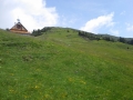 DovškaBaba_003