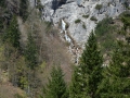 DSC_4869.JPG