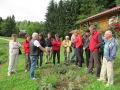 Kmetija Plavica 002