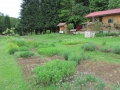 Kmetija Plavica 003