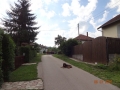 DSC07240