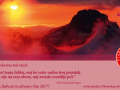 Novoletna čestitka 2017 – kopija